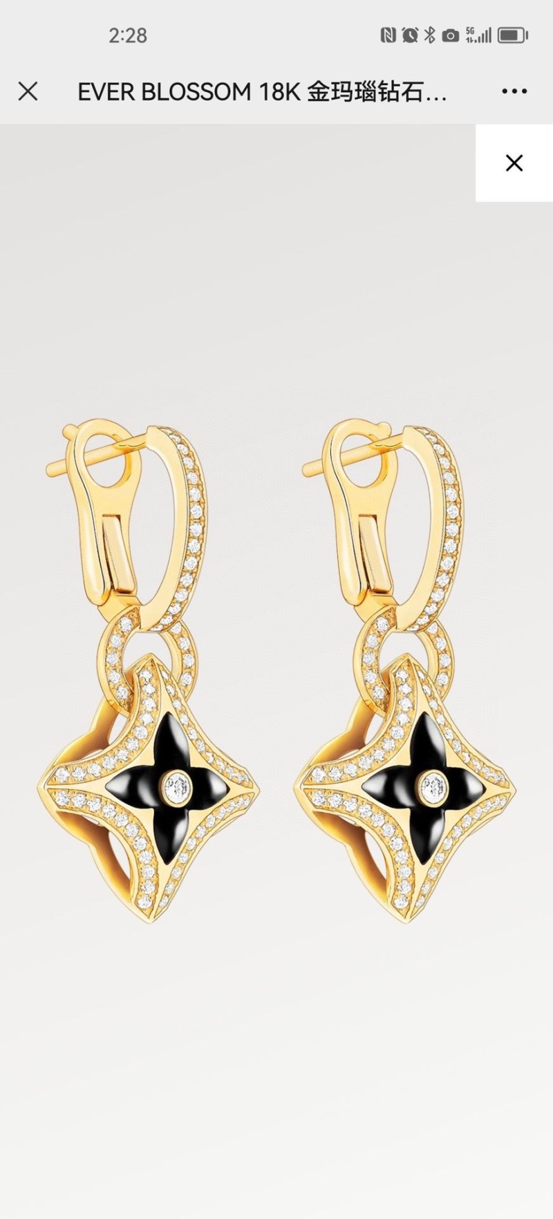 LV Earrings